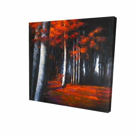 FONDO 16 x 16 in. Mysterious Forest-Print on Canvas FO2789506